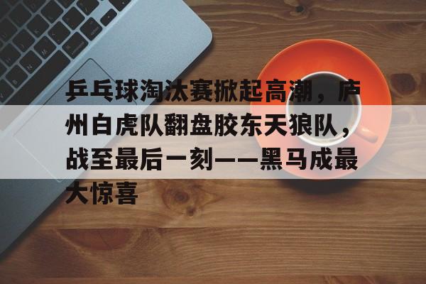 开云体育平台登录-乒乓球淘汰赛掀起高潮，庐州白虎队翻盘胶东天狼队，战至最后一刻——黑马成最大惊喜的简单介绍